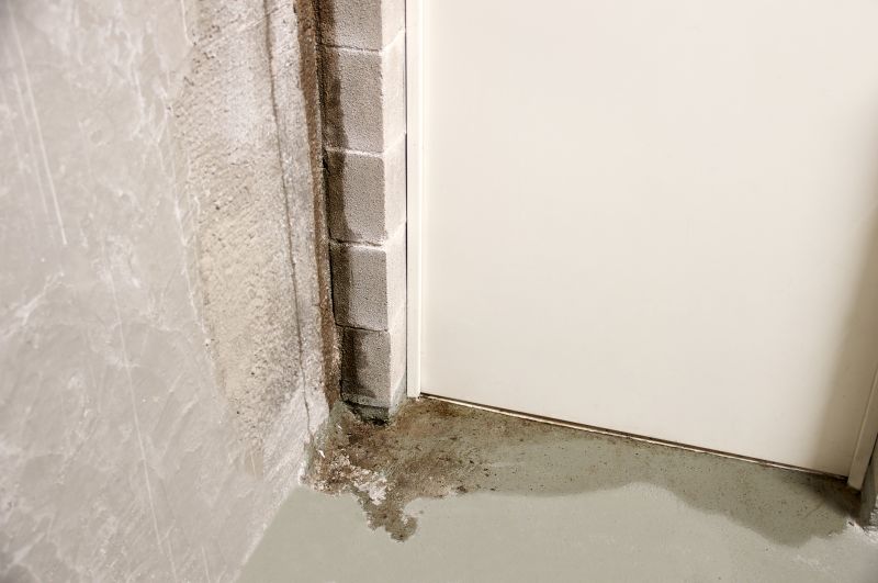 Basement Leak Repair in Greenville, SC