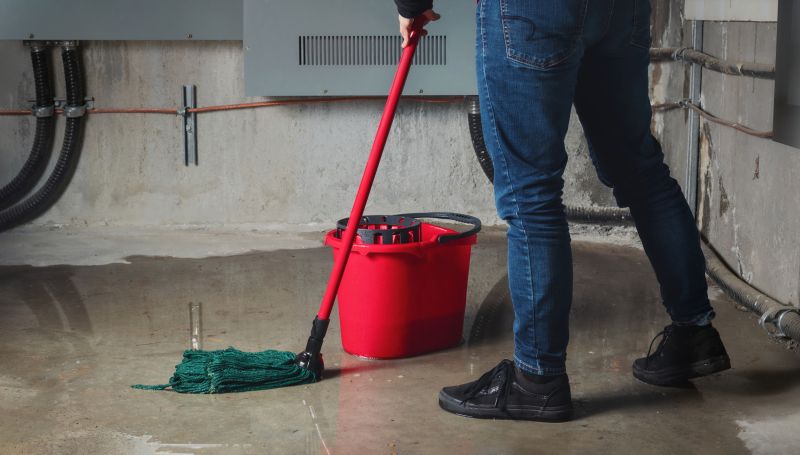 Basement Seepage Repair in Greenville, SC