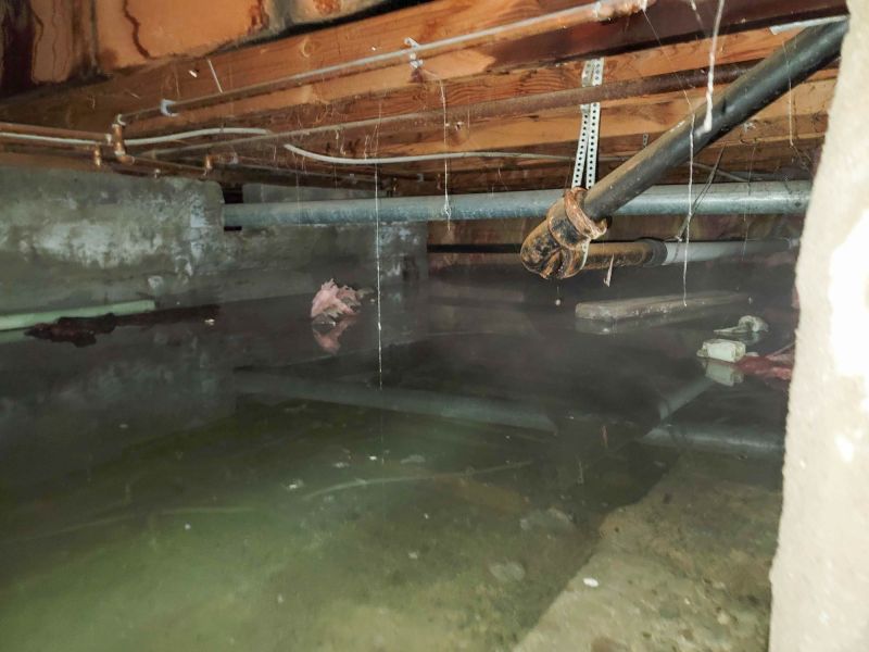 Basement Water Mitigation in Mesa, AZ