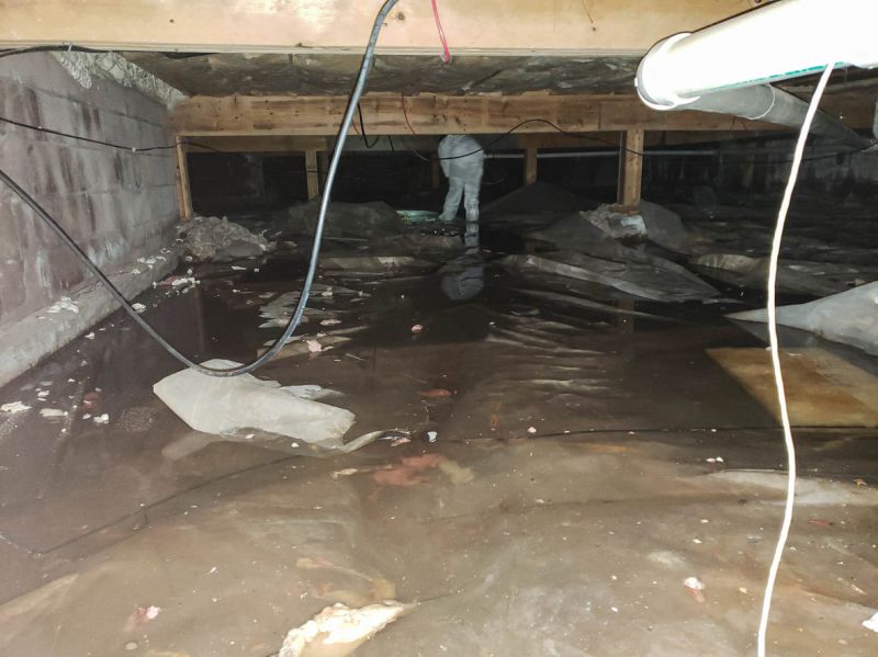 Flood Damage Cleanup in Phoenix, AZ