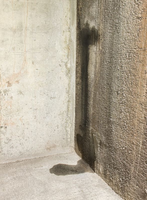 Leaking Basement Repair in Fort Collins, CO