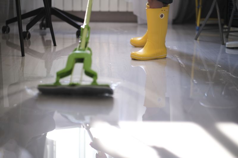 Moisture Removal Service in Gilbert, AZ